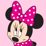 minnie mouse theme Party Themes