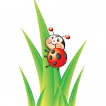 Libby the Ladybug Vector Illustrations