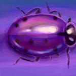 Ladybug Nintendo DS Illustrations