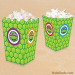 FREE Printable Ninja Turtle Popcorn Box