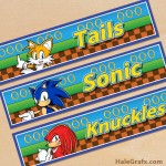 Free Printable Sonic the Hedgehog Water Bottle Labels